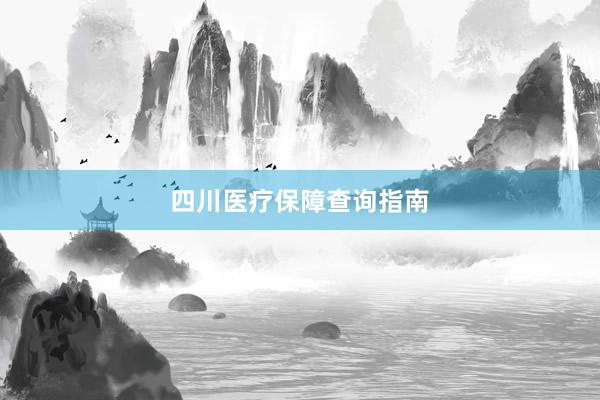 四川医疗保障查询指南