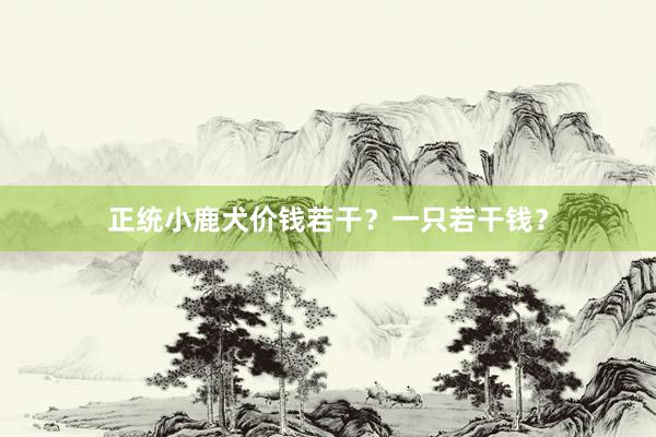 正统小鹿犬价钱若干？一只若干钱？