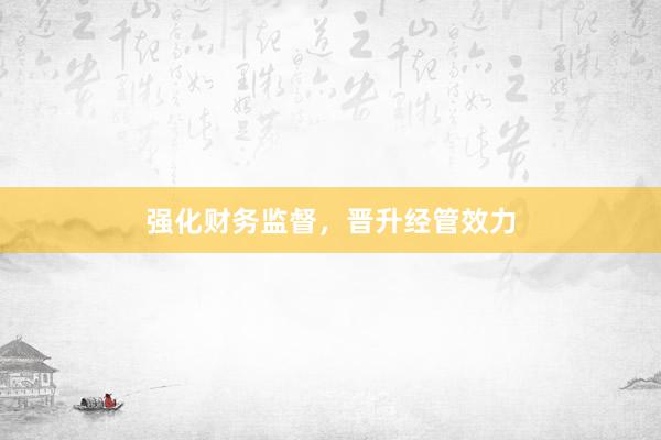 强化财务监督，晋升经管效力